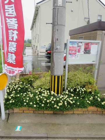 シーサイド・Ｆ・メゾンのその他