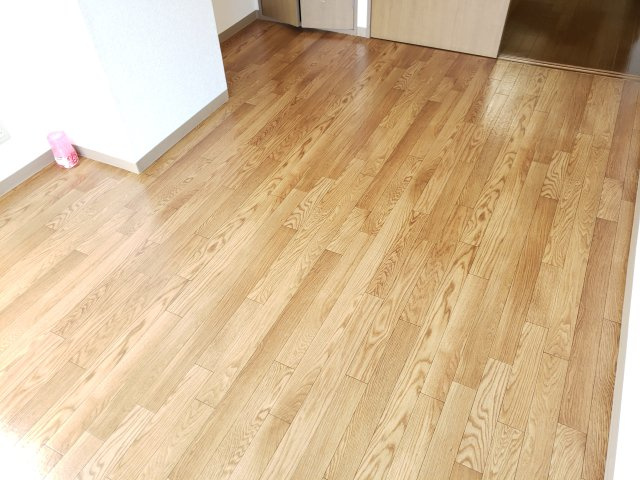サンコートの内装