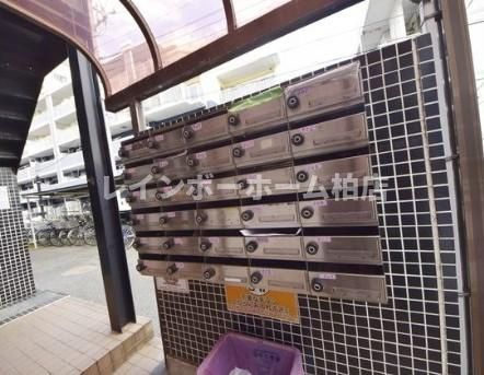 特典：仲介手数料が50％OFFです‼のその他共用部分|メールボックスです