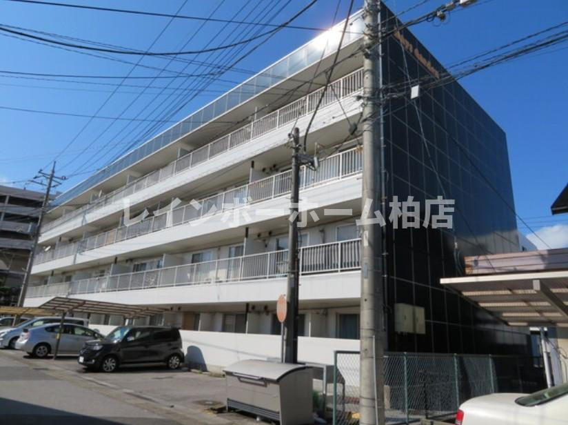 特典：仲介手数料が50％OFFです‼
