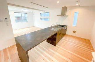 【その他】 | 練馬区向山3丁目　新築戸建　A号棟 8180万円 | 施工主施工例：キッチン