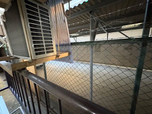 Casa Grandeのその他