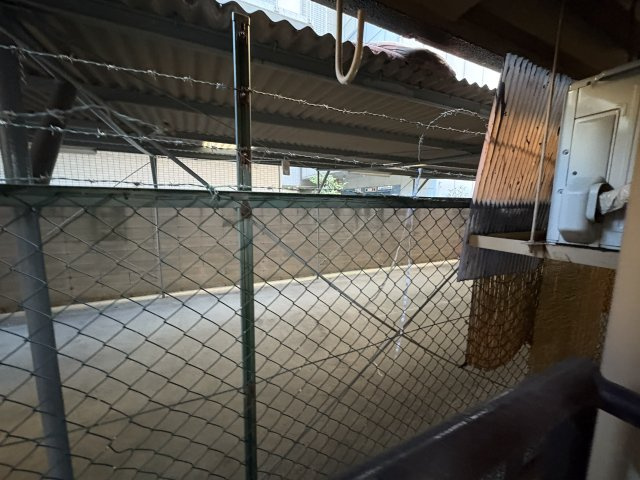 Casa Grandeの庭