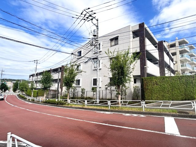 敷地南側からの外観
