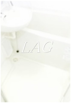 【浴室】 | フェニックス新高円寺伍番館 | お風呂です。