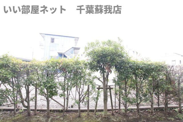 アイランドの展望