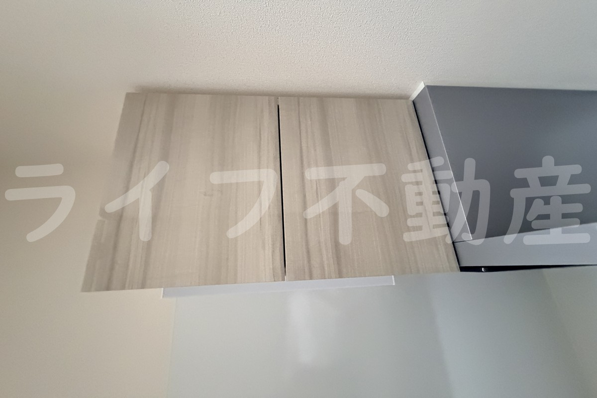プレサンス東小橋エレディータの収納|収納があります