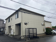 マッティーノＮの画像