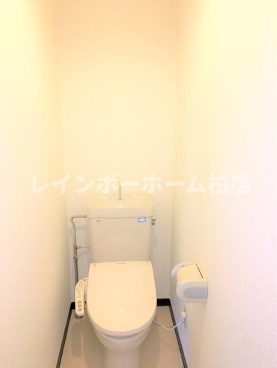 仲介手数料50％半額キャンペーン物件のトイレ|落ち着いた色調のトイレです