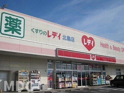 板野郡北島町鯛浜字かやのアパートの周辺|くすりのレディ北島店様まで400m