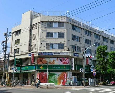ドミール長沢のその他|マルエツプチ吉祥寺店