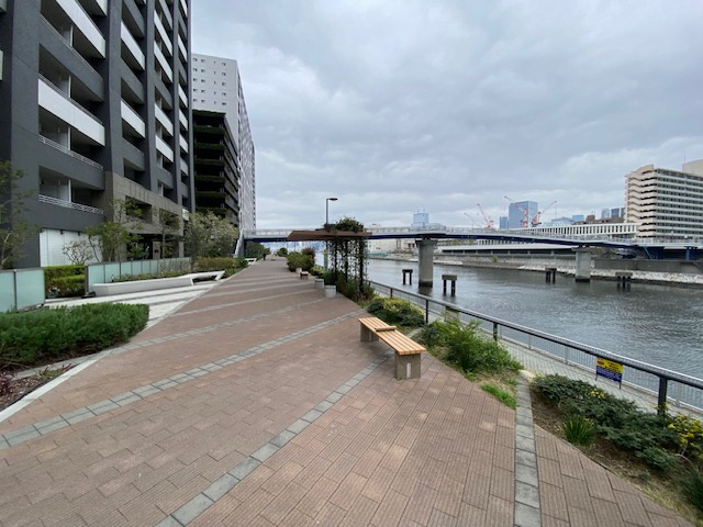 目の前のテラス。エントランス前の運河沿いの公園とHARUMI FLAGへ続く道