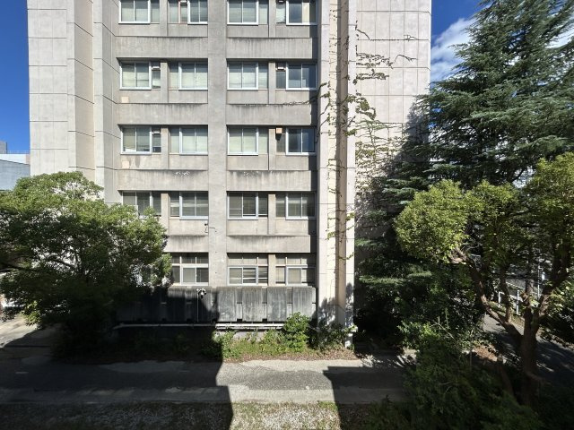 【展望】