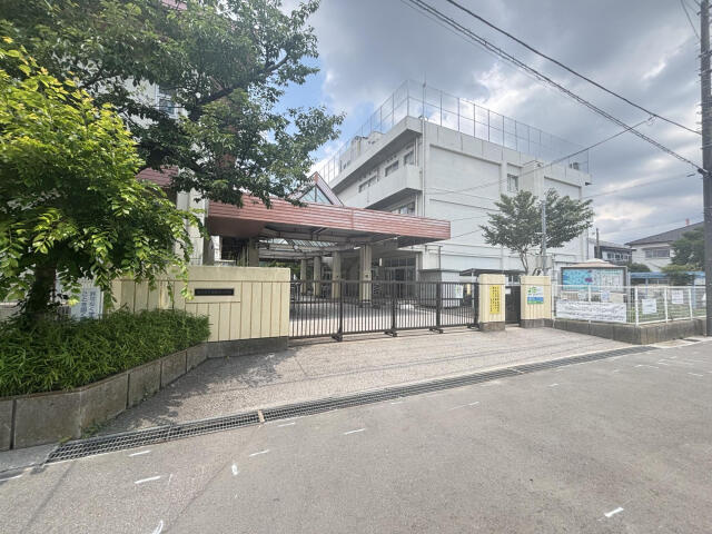 ブルーミングガーデン　市川市稲荷木２丁目１０棟／１期５号棟の周辺|市川市立稲荷木小学校まで955m