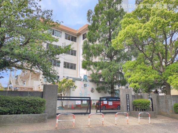 河原塚７５番のその他|松戸市立河原塚小学校まで550m