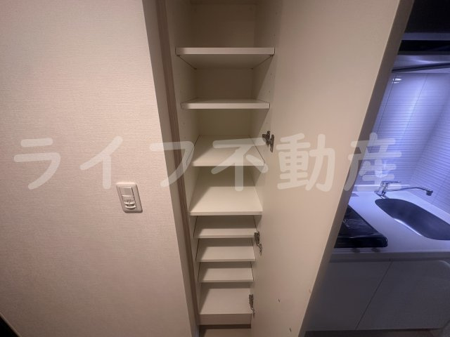 S-RESIDENCE緑橋駅前の収納|ちょっとした収納スペースも充実しています