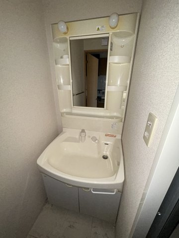 シャルマンフジ大阪城南の洗面所
