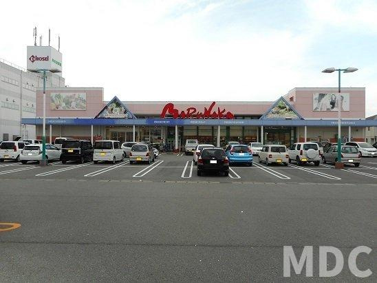 徳島市国府町中のアパートの周辺|マルナカ国府店さんまで700m