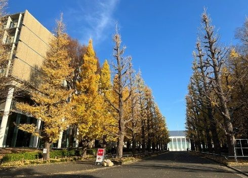 ジュネス日吉のその他