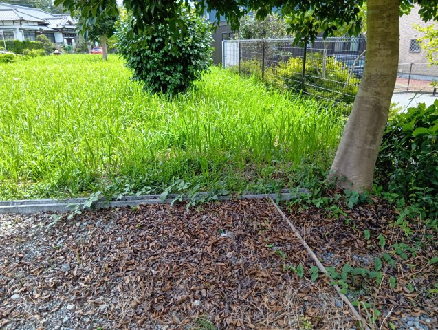 売土地　富士市天間の外観|現況でのお引渡しになります。