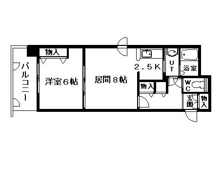 SOUTHERN　CROSS　313