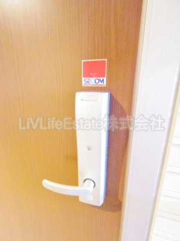 花水木