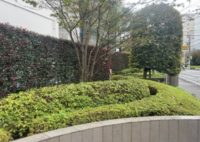 【庭】 | 西八王子ハイツＤ棟 | 物件によっては、入居者が個人的に使用できる専用庭がついているものもあります。また、住宅の中にある土間の部分を庭と呼ぶこともあります。庭の用途は住む人によって変わり、それによってデザインもさまざまです。