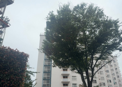 【展望】 | 西八王子ハイツＤ棟 | 眺望を気にして物件を探す場合、前面に建物が建っていないか現地で確認しましょう！前面に建物があると景色はもちろん、日当たりや風通しにも影響が出てきます。住んだ時のことを想像しながら現地見学をしましょう。