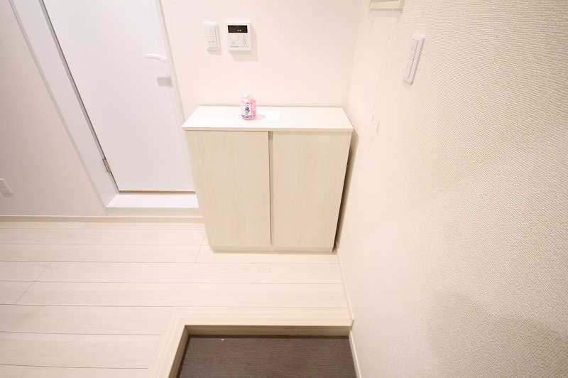 プレジール小本の玄関
