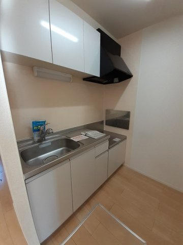 ピレネー　Ⅱのキッチン|キッチンでお料理をお楽しみください