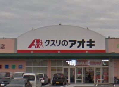 レオネクストさざんかの周辺