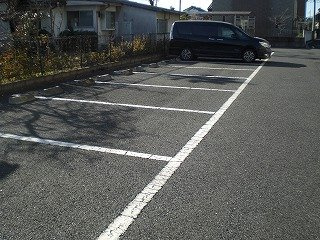 レオネクストからたちのその他