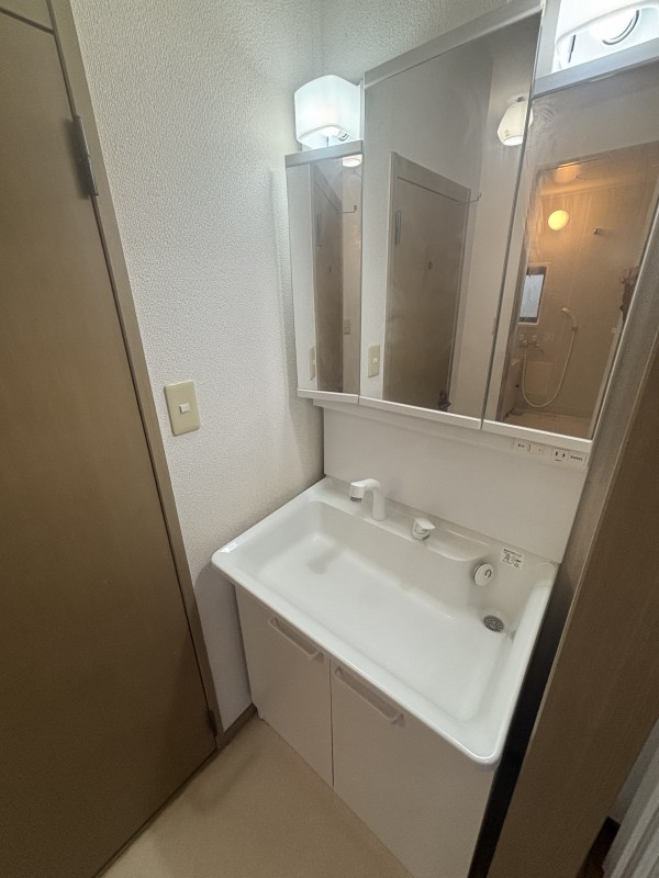 シェモア大畑IIIの洗面所
