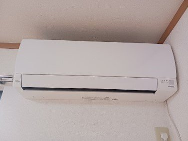 プラシードのその他