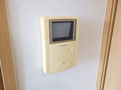 プラシードのセキュリティ