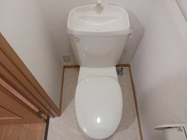 プラシードのトイレ