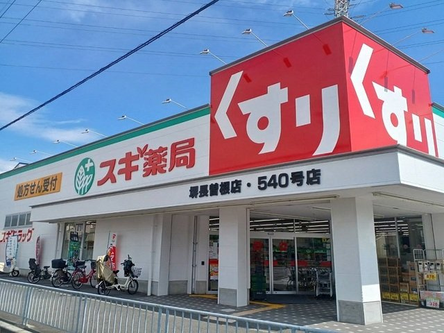 フローラの周辺|スギ薬局様まで650m