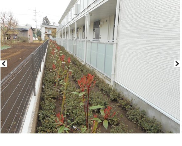 レオネクストフロレゾンＢのその他