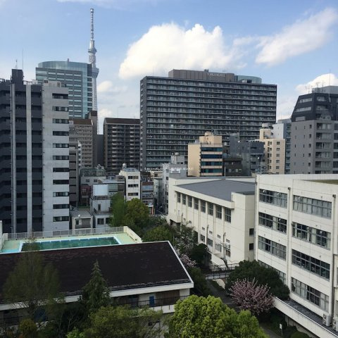 カルペンテリアエッセの展望