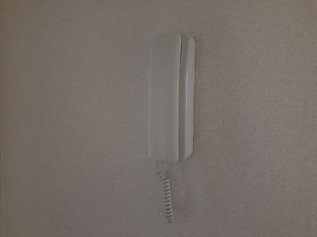 ロイヤルシャルムのセキュリティ