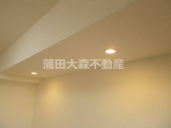 ルーブル蒲田南伍番館の設備|調光機能付ダウンライト照明！