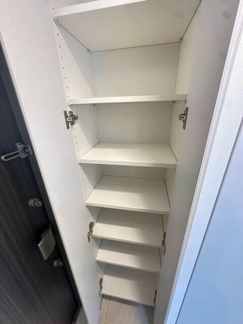 グランヴァン元住吉の収納|収納豊富です