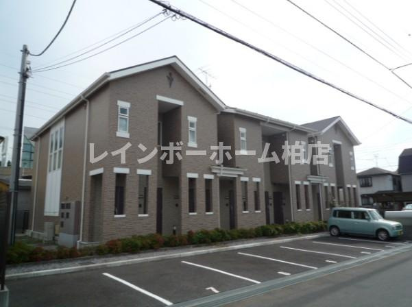 特典：仲介手数料が50％OFFです‼
