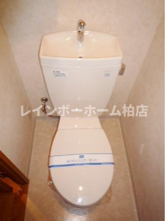 特典：仲介手数料が50％OFFです‼のトイレ|トイレもきれいです