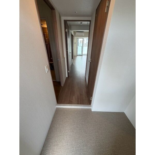 ハイラインVの玄関