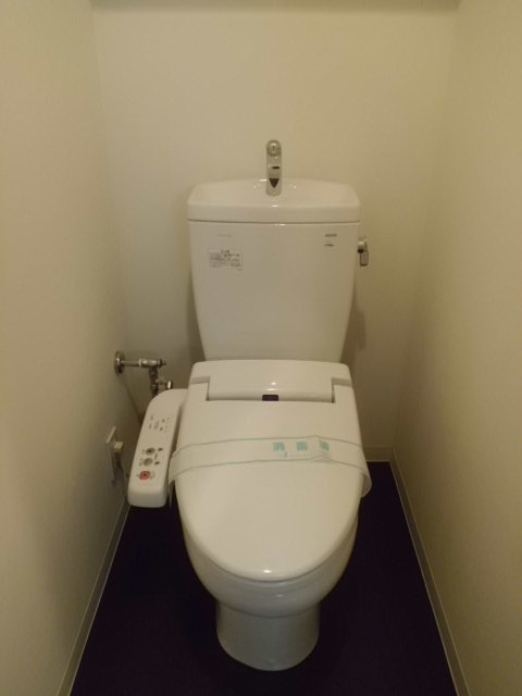 アーバンファースト錦糸町　５０７号室のトイレ|落ち着いた色調のトイレです