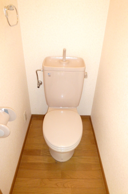 KNビル【キャッシュバック賃貸】のトイレ|トイレです