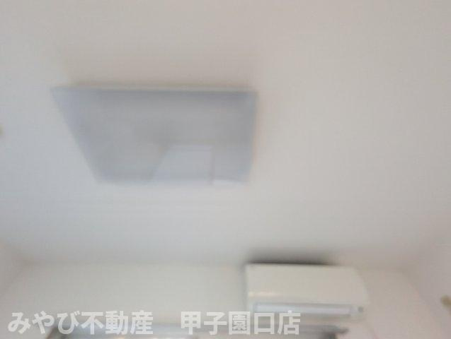 セントナルオのその他