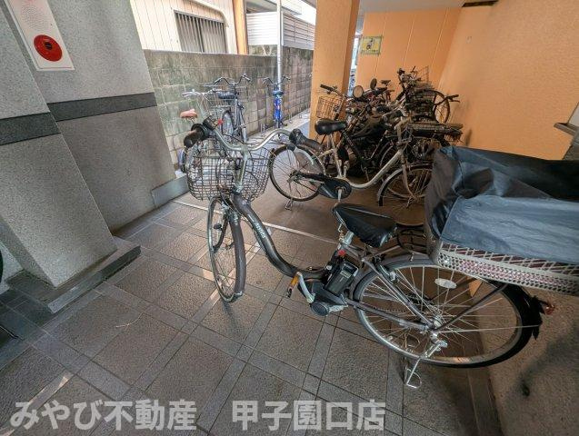 セントナルオのその他