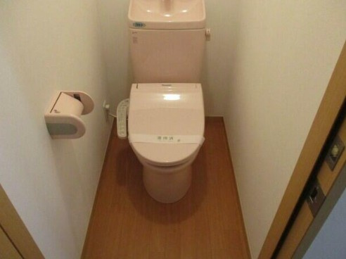 【トイレ】 | メゾーネ・アポロン | トイレも気になるポイント